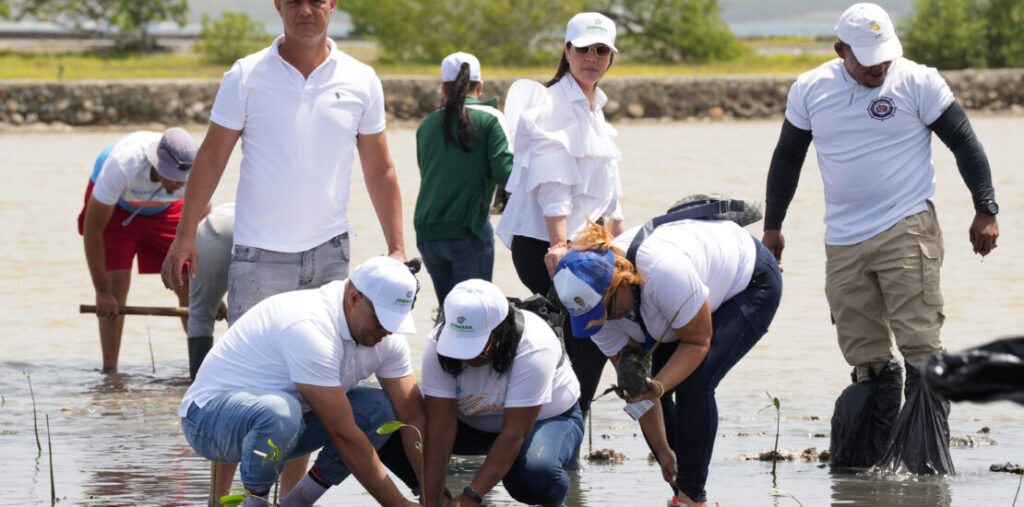 APORDOM Lidera Iniciativa Ambiental: Jornada de Reforestación en Las Calderas