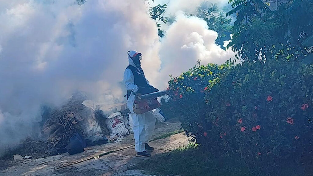 "Lucha Exitosa Contra el Dengue en Dominicana"