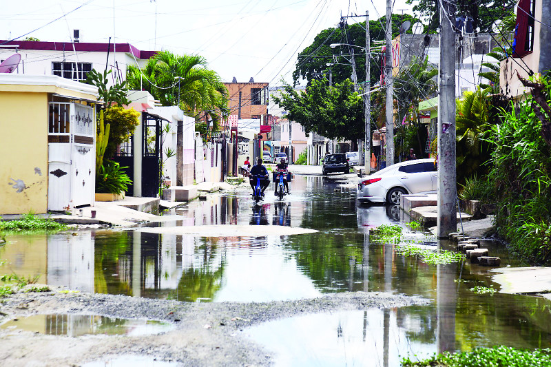 Problemática en Arroyo Bonito, Manoguayabo con un criadero de peces en pleno 2024