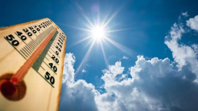 Calor
