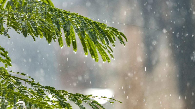 Un ciclón se podría formar en los próximos siete días, según Indomet