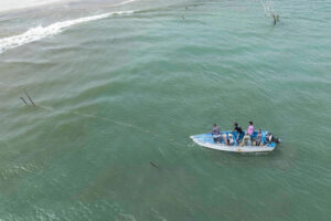 Redes de pesca en la República Dominicana: Amenaza crítica para la supervivencia de los manatíes