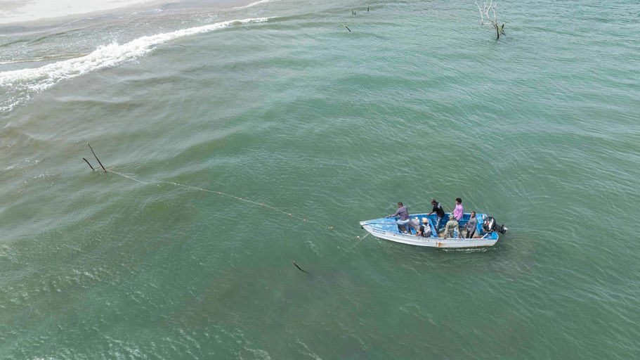 Redes de pesca en la República Dominicana: Amenaza crítica para la supervivencia de los manatíes