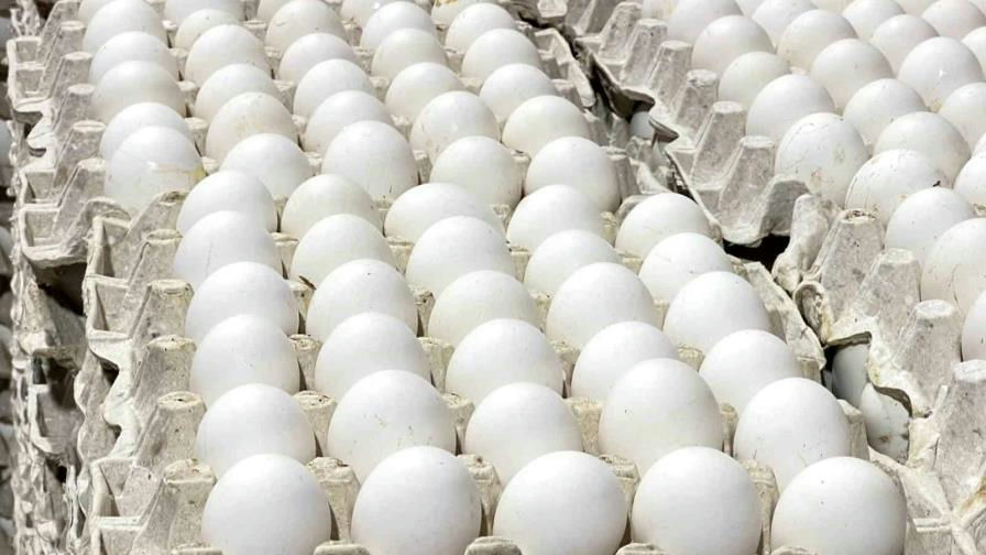 Récord agropecuario: Exportaciones se disparan un 32.7% en 2024